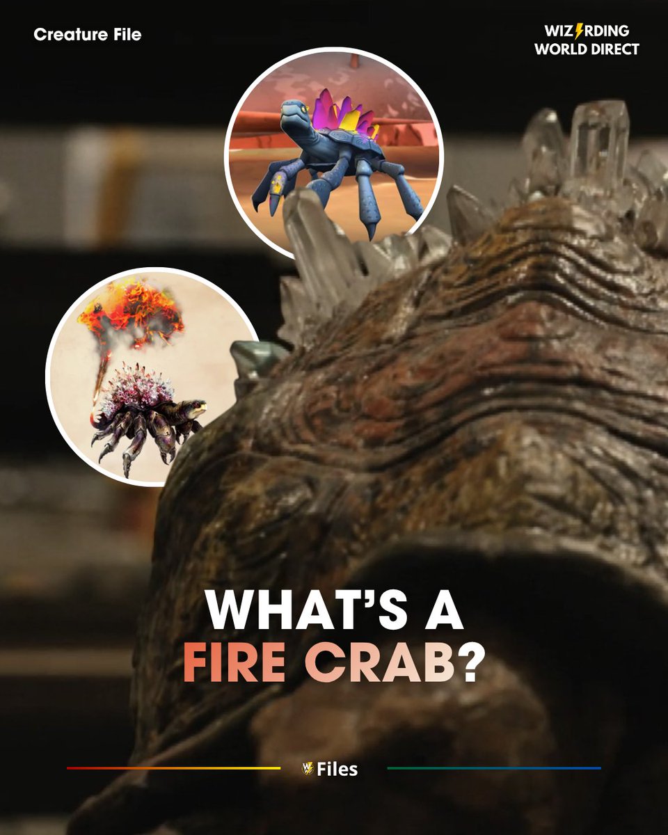 WW_Direct's tweet photo. 🦀🔥 CREATURE FILE #001: THE FIRE CRAB

Native to the coast of Fiji, the Fire Crab looks deceptively like a tortoise. Don't be fooled. Its shell is encrusted with precious jewels: rubies, sapphires, emeralds, and if you get too close... it shoots flames from its rear end. 🔥

A protected species, the Fijian coastline has been turned into a reservation to keep both Muggles (who'd kill for that shell) and wizards (who'd melt it into a cauldron) far away.

And if you were wondering where the Blast-Ended Skrewts came from... Hagrid crossed one of these with a Manticore.

📖 WHERE HAVE WE SEEN THEM?

- Books: Prisoner of Azkaban, Goblet of Fire, Order of the Phoenix, Fantastic Beasts and Where to Find Them

- Video games: Philosopher's Stone, Chamber of Secrets, Prisoner of Azkaban, Goblet of Fire, Order of the Phoenix, LEGO Harry Potter, Hogwarts Legacy (mentioned)

- Mobile games: Hogwarts Mystery, Wizards Unite, Magic Awakened, Puzzles & Spells, Cases from the Wizarding World

🎬 And now? They're coming to the HBO series. According to The Craft Behind the Magic, Fire Crabs will appear during Harry's first visit to Diagon Alley in Season 1.

This is just the beginning. More Creature Files coming soon 👀