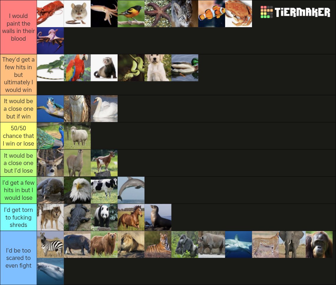 Turhatar's tweet photo. Animals I believe I could win in a fight https://t.co/dWJLznu8Ut