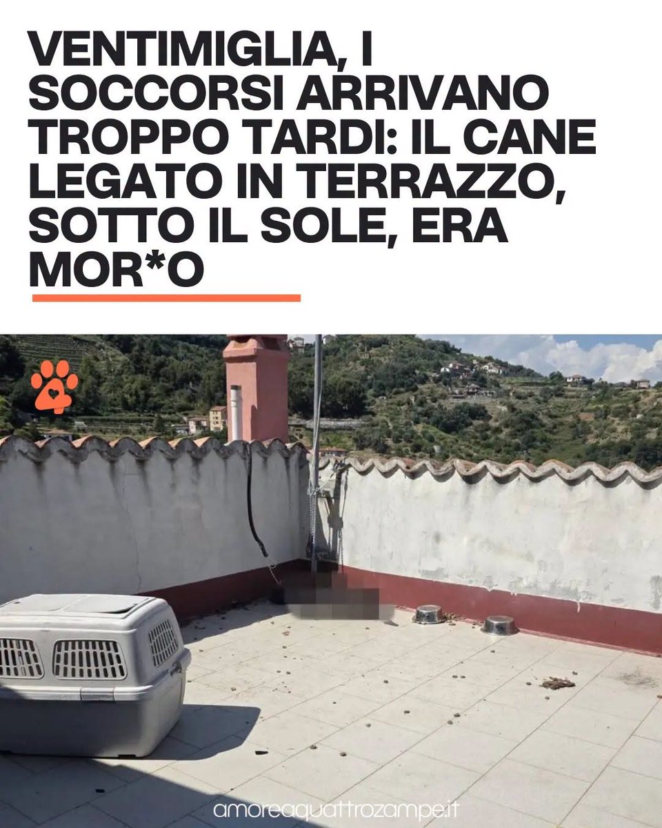 Amore4Zampe's tweet photo. È accaduto sulle alture di Latte, frazione di Ventimiglia, dove un cane è stato trovato morto sul terrazzo di un'abitazione.
La scena che si sono trovati davanti i soccorritori è devastante. https://t.co/knC0xxlsHx
