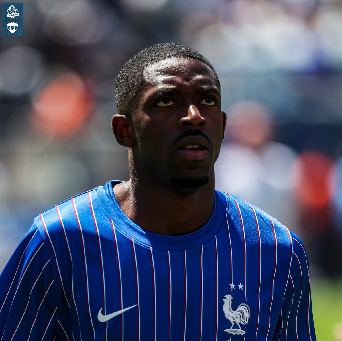 Footballogue tweet media