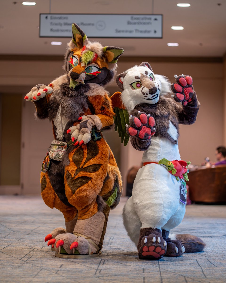 ssplashana's tweet photo. these two are ready to roam 🐾 
(ft @kindakei_) 

📸: @yukonbarksalot https://t.co/RwWAuJrMeN