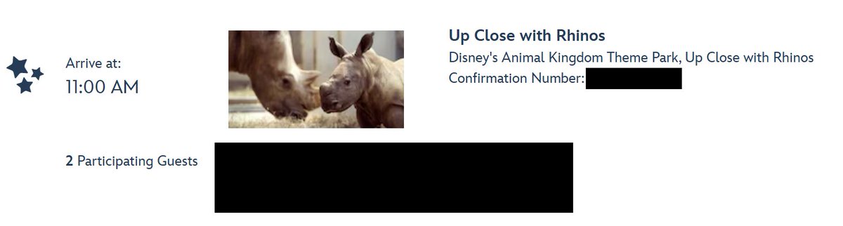 NeverlandNotes's tweet photo. This might be our biggest Disney achievement EVER! We've tried for years and years to book Up Close with Rhinos, and we finally got it! Review coming later this summer. #disneyworld https://t.co/L8cLgFhMcD