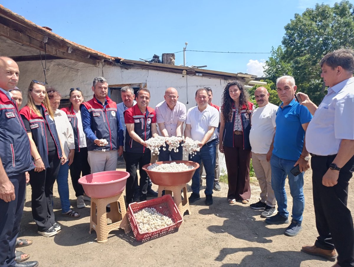 mktrky's tweet photo. #Uzunköprü Balabankoru Köyünde yıllar sonra İpekböcekciliği yetiştiriciliğini kazandırmanın mutluluğunu yaşıyoruz...İl Tarım Mdrümüzle hasat proğramına katıldık..Sevinçlerine ortak olduk.Emeği geçen tüm çalışma arkadaşlarıma teşekkür ediyorum...@TC_icisleri @tcbestepe @TCTarim https://t.co/Lo13ewjf7l
