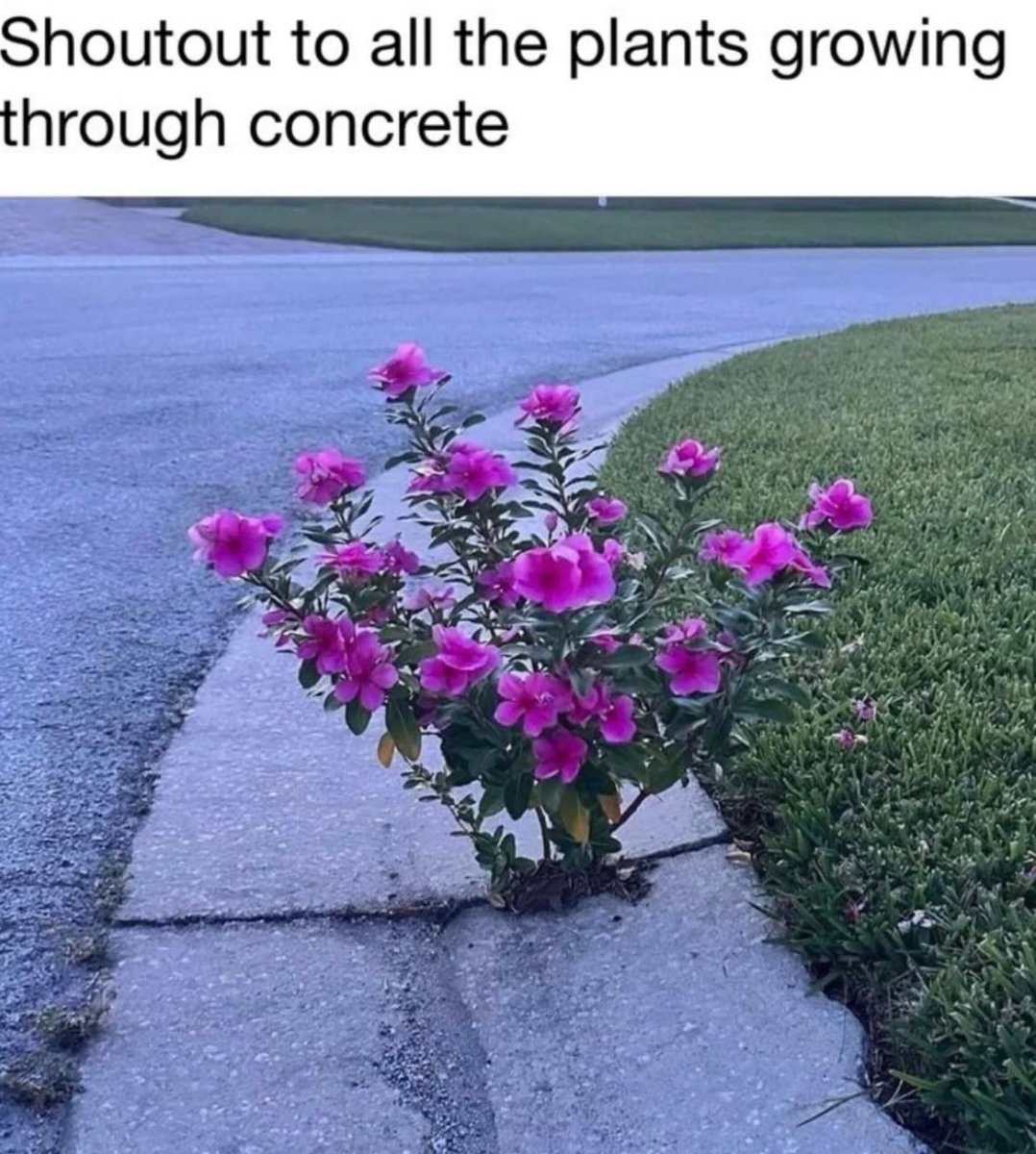 RespectfulMemes's tweet photo. https://t.co/lGnpwjKfve