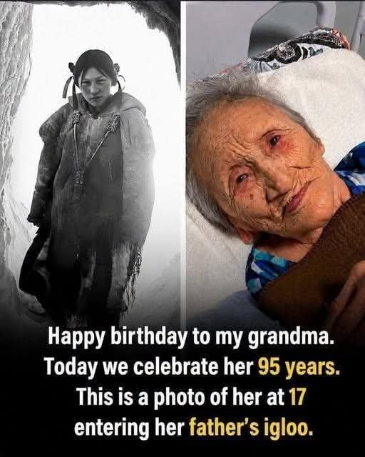 Native_Am_Story's tweet photo. Happy birthday 🎂 https://t.co/DIcbeBnxLX