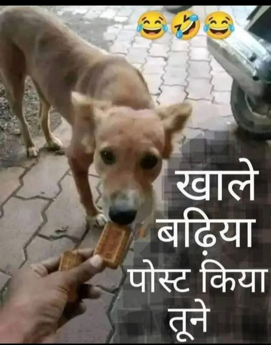 indiaknowss's tweet photo. @Ridhu417Sharma ब्राह्मणवाद के गुलाम https://t.co/qeoZ3bnQB0