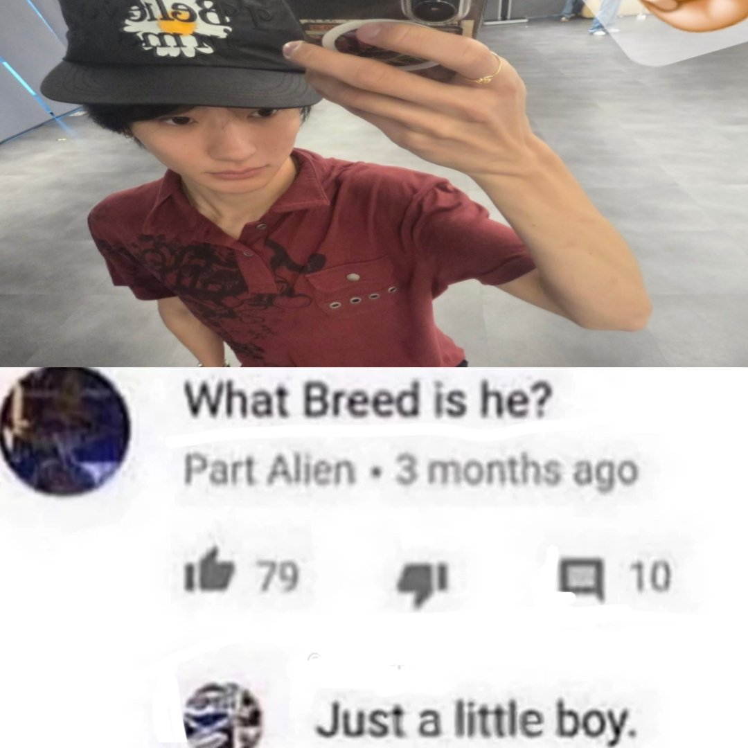 anton enjoyer tweet media