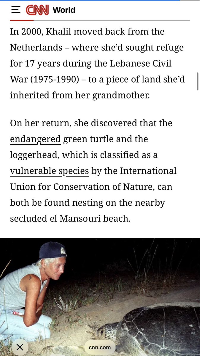 SMohyeddin's tweet photo. Israel killed Lebanese conservationist Mona Khalil. She was featured in CNN back in 2017. Israel bombed her home. She died today in ICU. https://t.co/IHJoeoxmYT