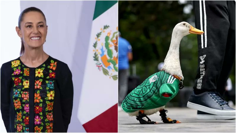 PoderPoliticoMx's tweet photo. #Enterate | La presidenta Claudia Sheinbaum informó que invitará a Carla Gómez, la dueña del pato Merlín, quien fue nombrado embajador de la FIFA.
https://t.co/cs2SVs77P4 https://t.co/jpyKStGKMm