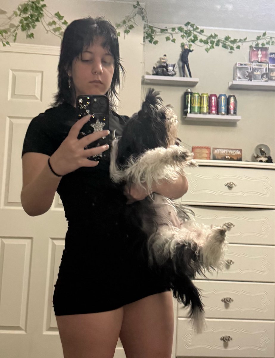 blue_witchsam's tweet photo. i woke my stepmom’s dog to do this
#badomensselcaday #boselcaday #noahsebastian https://t.co/B2OVQbwjBD