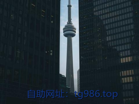 paksoy85173's tweet photo. 电报解除限制
电报收不到验证码 苹果下载tiktok
纸飞机账号
tg号
电报老号
telegram注册 https://t.co/bxZSI8HQzm
