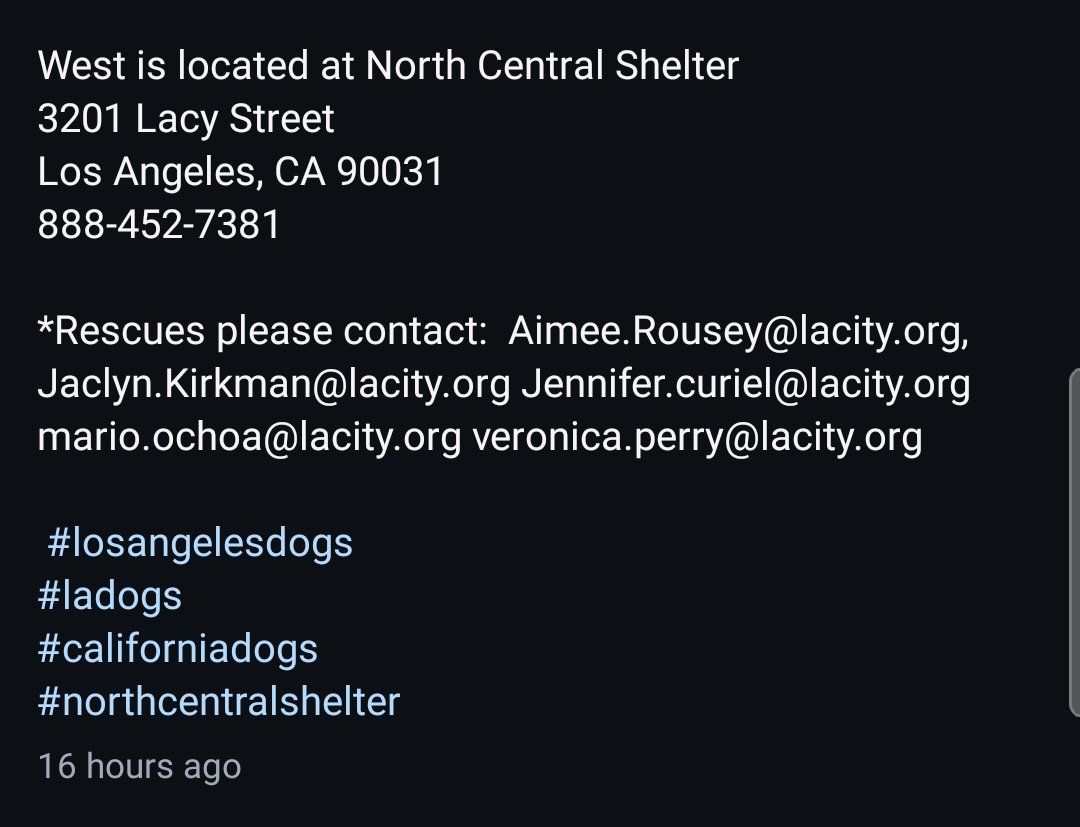 itsadogslifersq's tweet photo. WEST #A2272917
2yo.#pitbull
West made headlines at @CBSNews for the #animalabuse he endured, tied up & hanging from the back of a moving pickup truck which caused lasting scars to his body.
Now he is failed again, to be killed 6/23‼️ at #NorthCentral #LA.
Please help West. https://t.co/x1GEqh8FbL