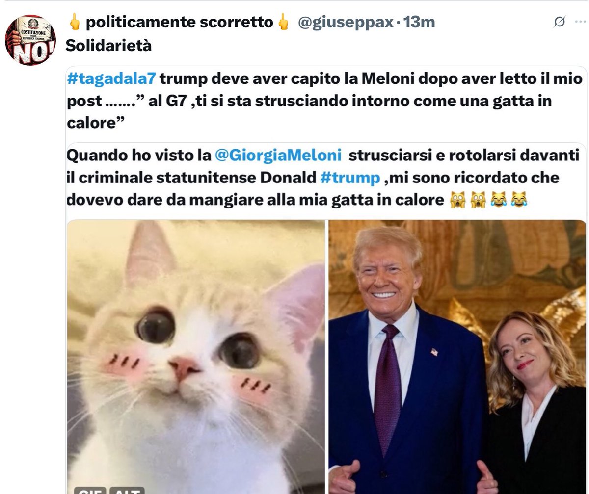 giuseppax's tweet photo. @fanpage @rulajebreal https://t.co/pLbhMP2IHG