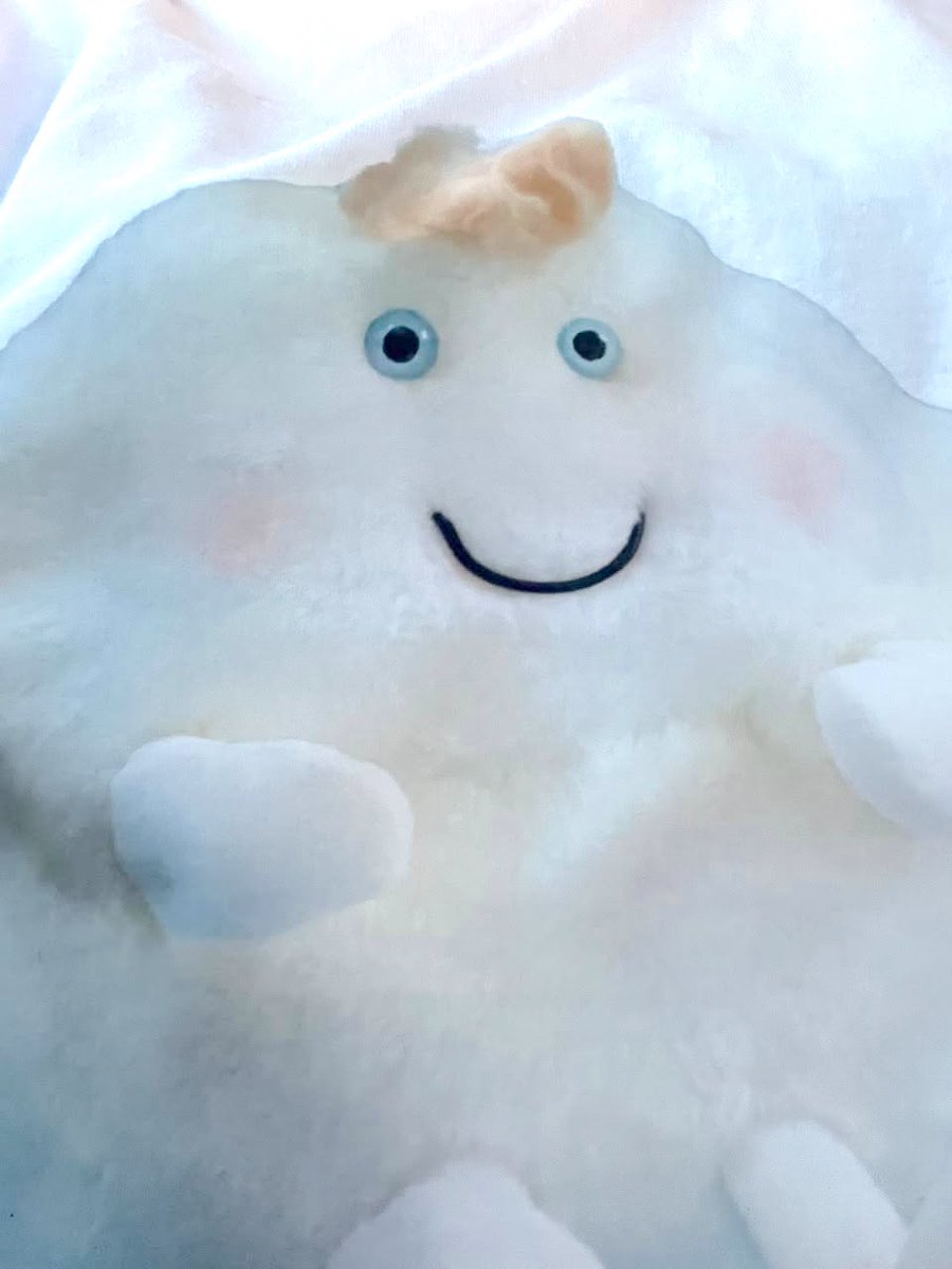 Windyちゃん windyちゃん