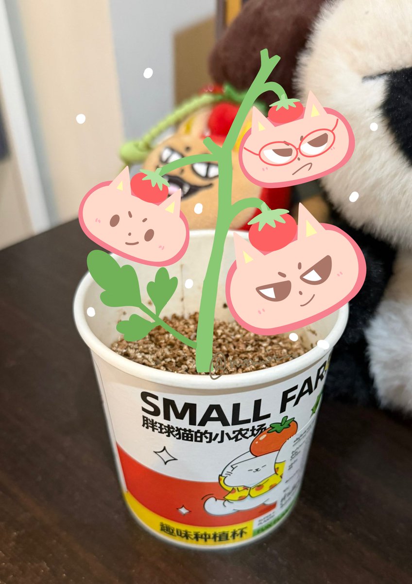 bookermiumiuu's tweet photo. @kasibook @LapeyFB ไม่เป็นไรค่ะ ฉันจะช่วยคุณเอง555555🍅🍅🍅 https://t.co/cnxyKODsqC