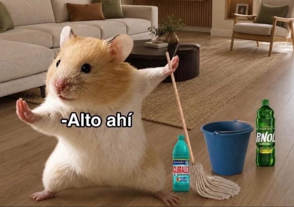 ElPanditaRojo_'s tweet photo. Yo cuando acabo de trapear y quieren pasar: https://t.co/MDaVSuhJW6