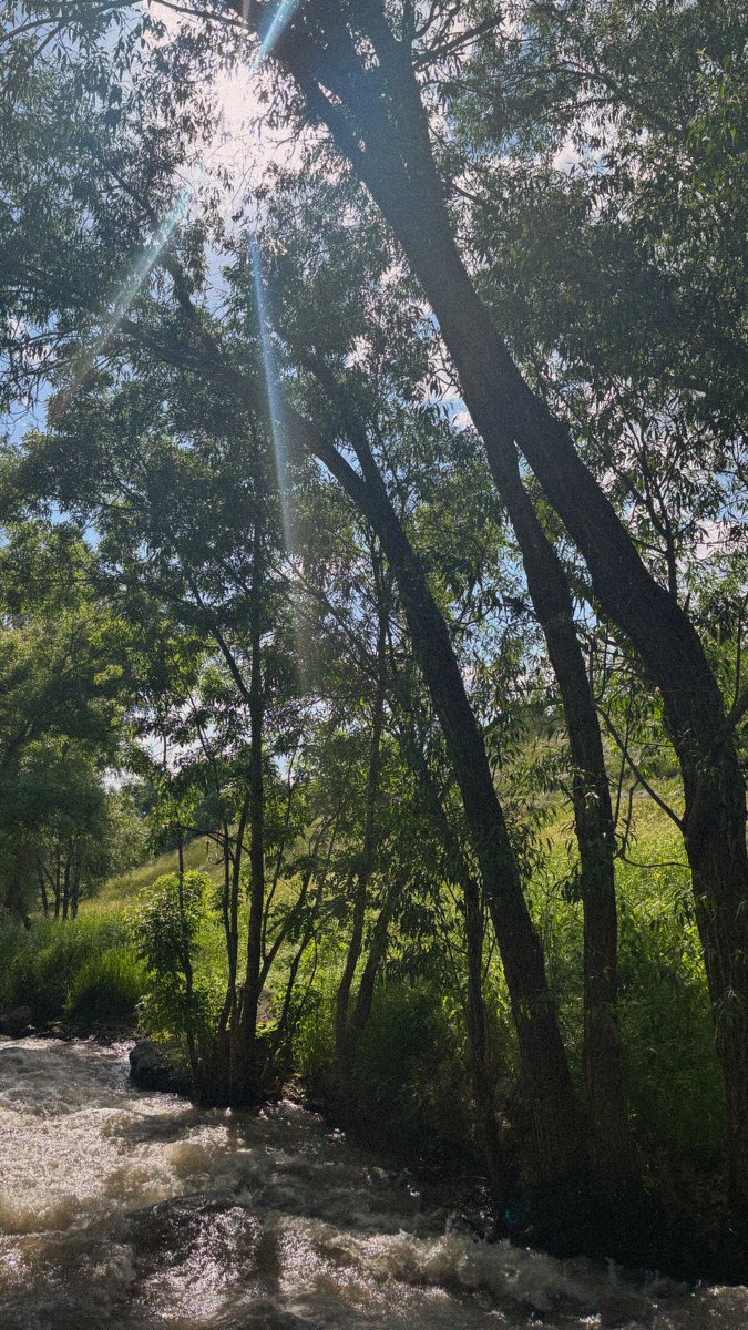 n_beri's tweet photo. Varto🌱 https://t.co/XKsJHxzOCF