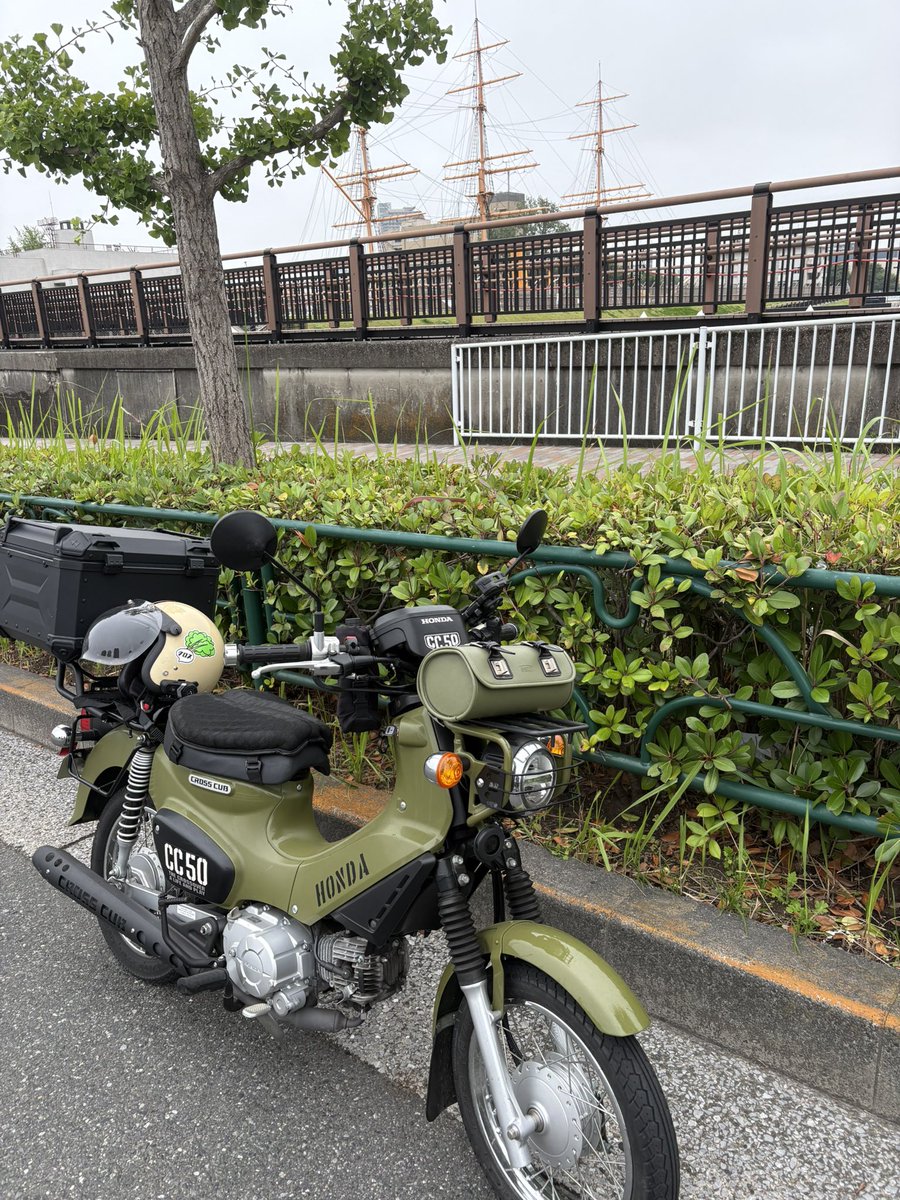 haguT33's tweet photo. #クロスカブ
 #三洋食堂
 #朝活
大田市場で朝飯。レクサスの展示場があった。
カマスのお刺身というものを初めて食べた気がする。だいたい干物か塩焼きじゃない？
おまけのはずのエビフライがすごい主張。
ご馳走様でした。 https://t.co/rJLGSG67cR