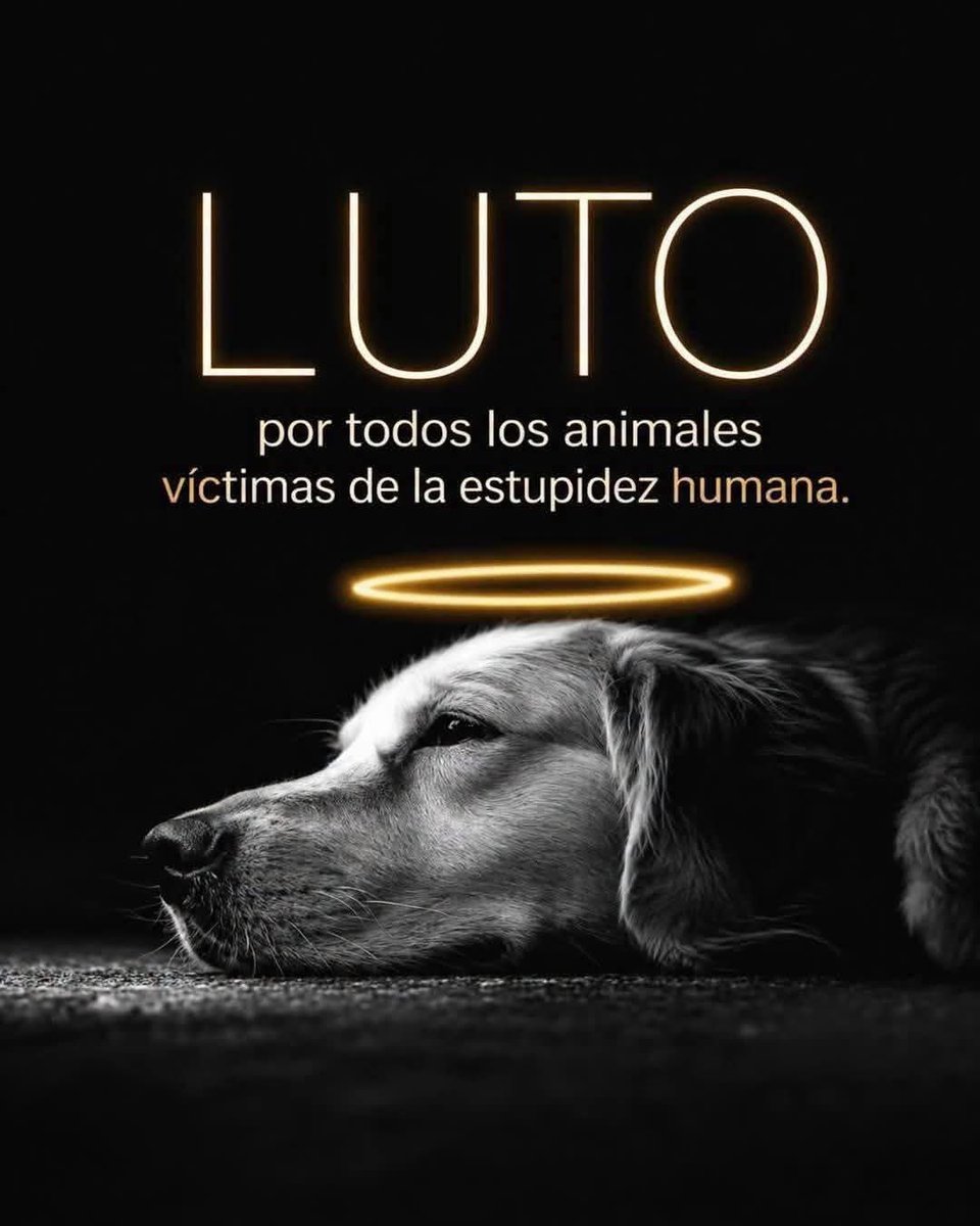 mavica7's tweet photo. Hasta mañana https://t.co/Zs67CwSmL0