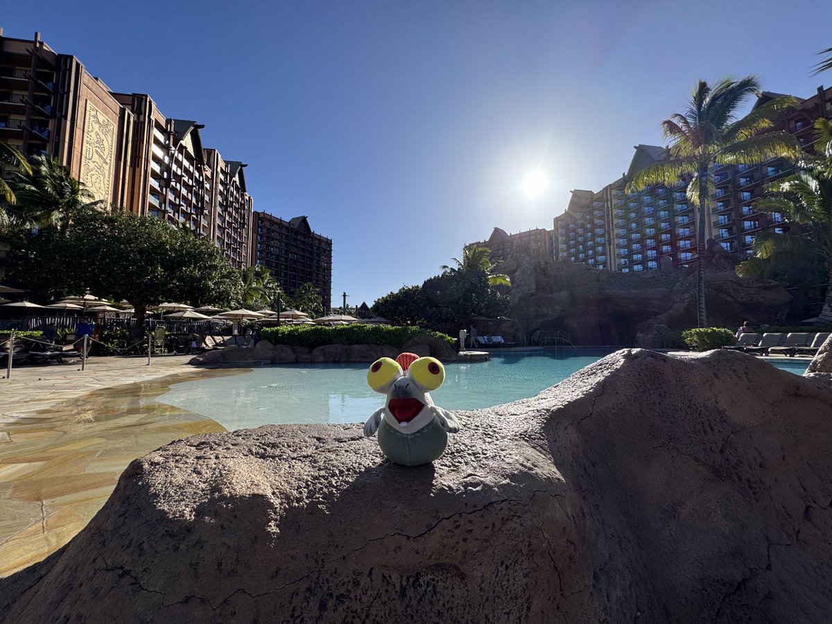 wdw2014's tweet photo. ビッグビッグラン、今回はステージランダム？マヒマヒもあるのかな？嫁と子供達に占拠されて、自分はプレイ出来なさそうですが….. https://t.co/UdWNRR3GST