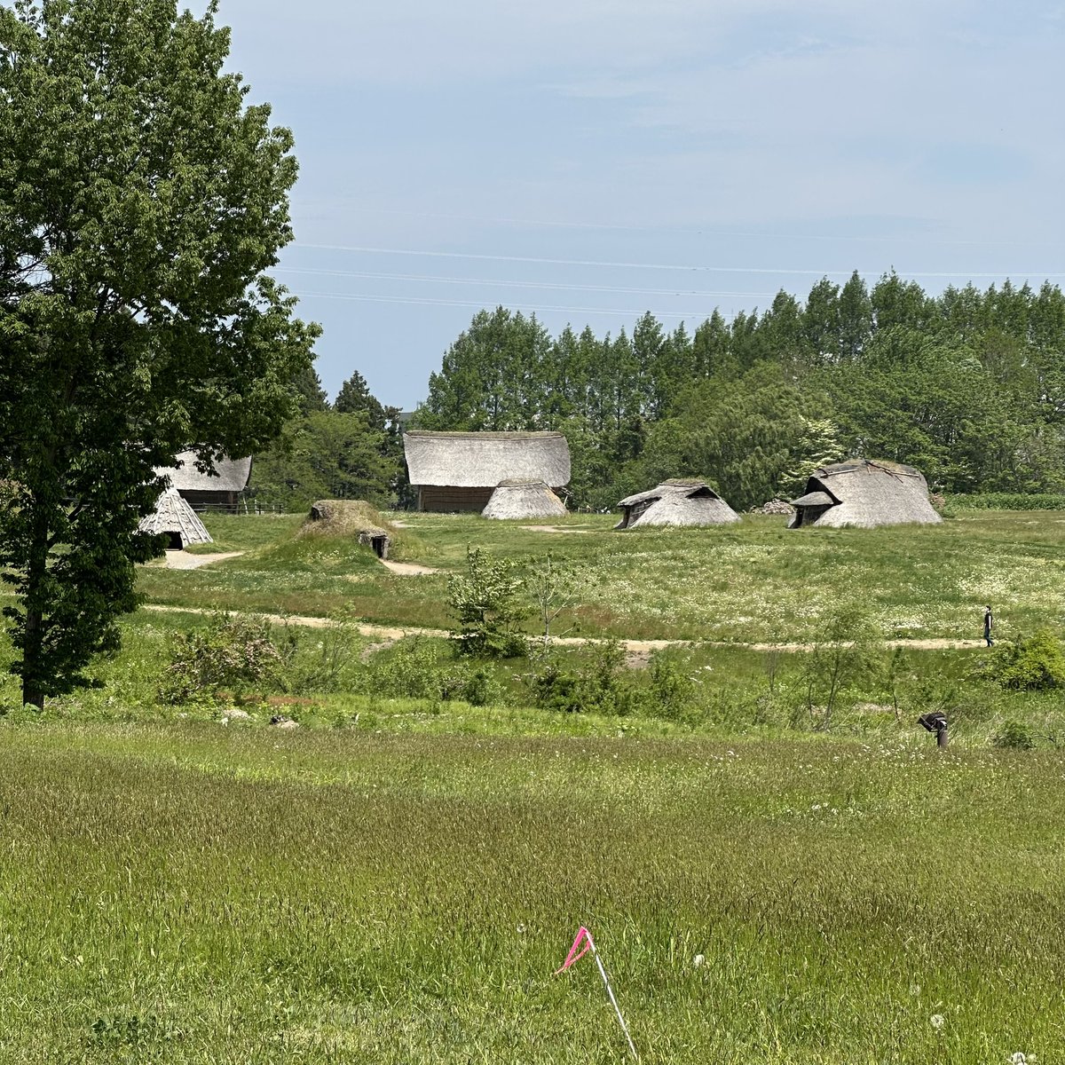 simoncpitt's tweet photo. Headed out after breakfast last month to explore the fascinating UNESCO World Heritage Jomon Prehistoric Site. It was incredible wandering through the reconstructed village settlement scattered across the green fields.  #latergram #jomon #unescoworldheritage #aomori #ancientjapan https://t.co/DCfLCmOfIz