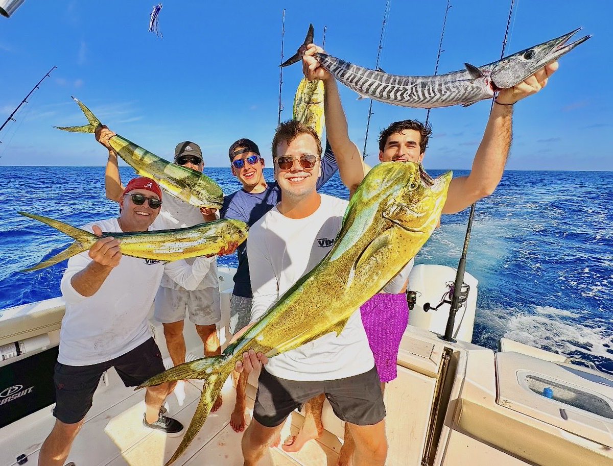RobinReichman1's tweet photo. Today was a success π#deepseafishing #ReelDreams https://t.co/ZDyeghZHG4