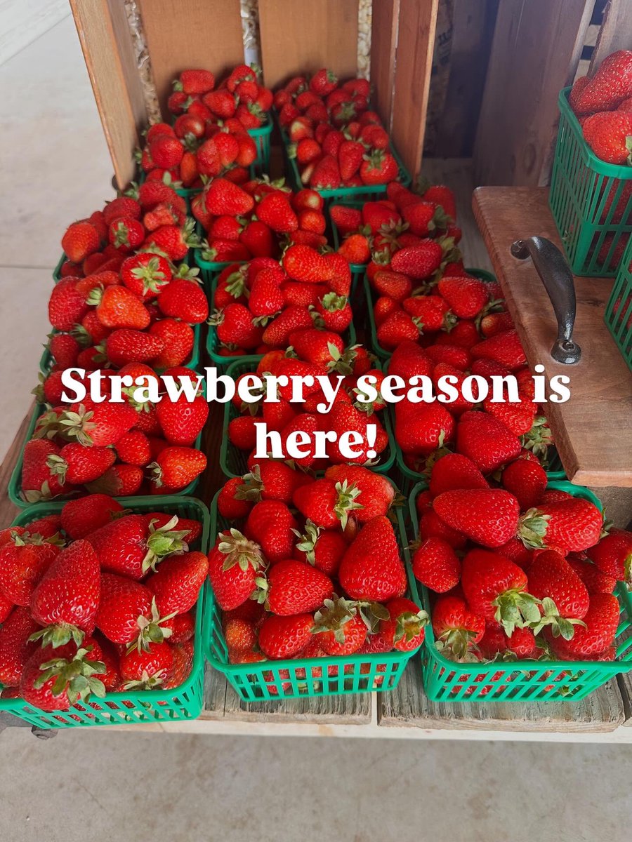 MillersDairy's tweet photo. Strawberry season is here and we celebrate our local markets. #harrisfarm #barriehillfarms ##maplegrovefarm #millersdairycreemore❤️🇨🇦 https://t.co/wMRKebiq2X