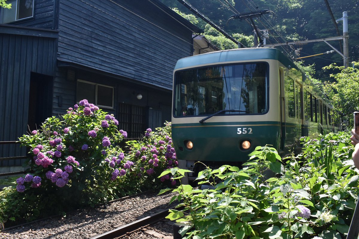 yory7502train's tweet photo. #Yory9200撮影記録 
6/13
江ノ電と紫陽花
@長谷〜極楽寺
※撮影許可エリアで撮っています https://t.co/kFlOdVyXtV