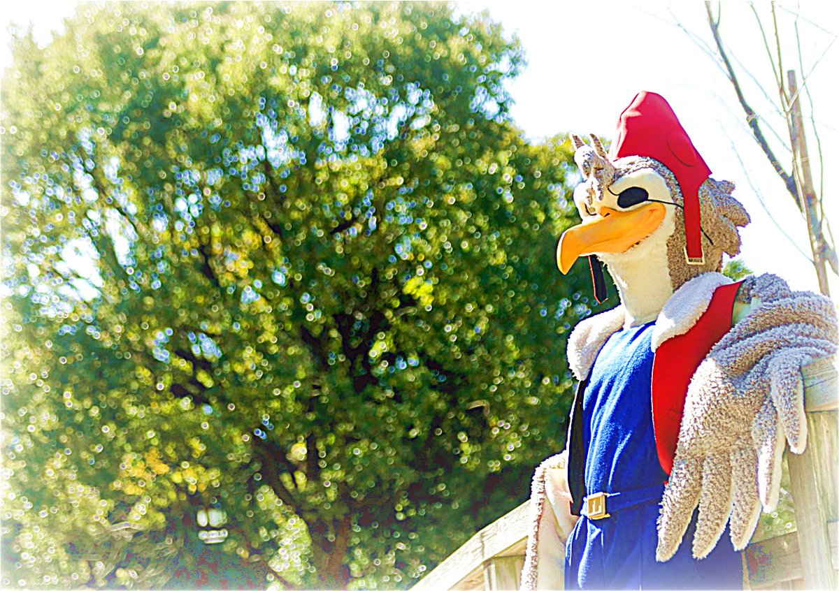 danevelu's tweet photo. おは土曜日‼️
なんとなく鳥クラマを再掲！！ https://t.co/CJ3eOlRDJK