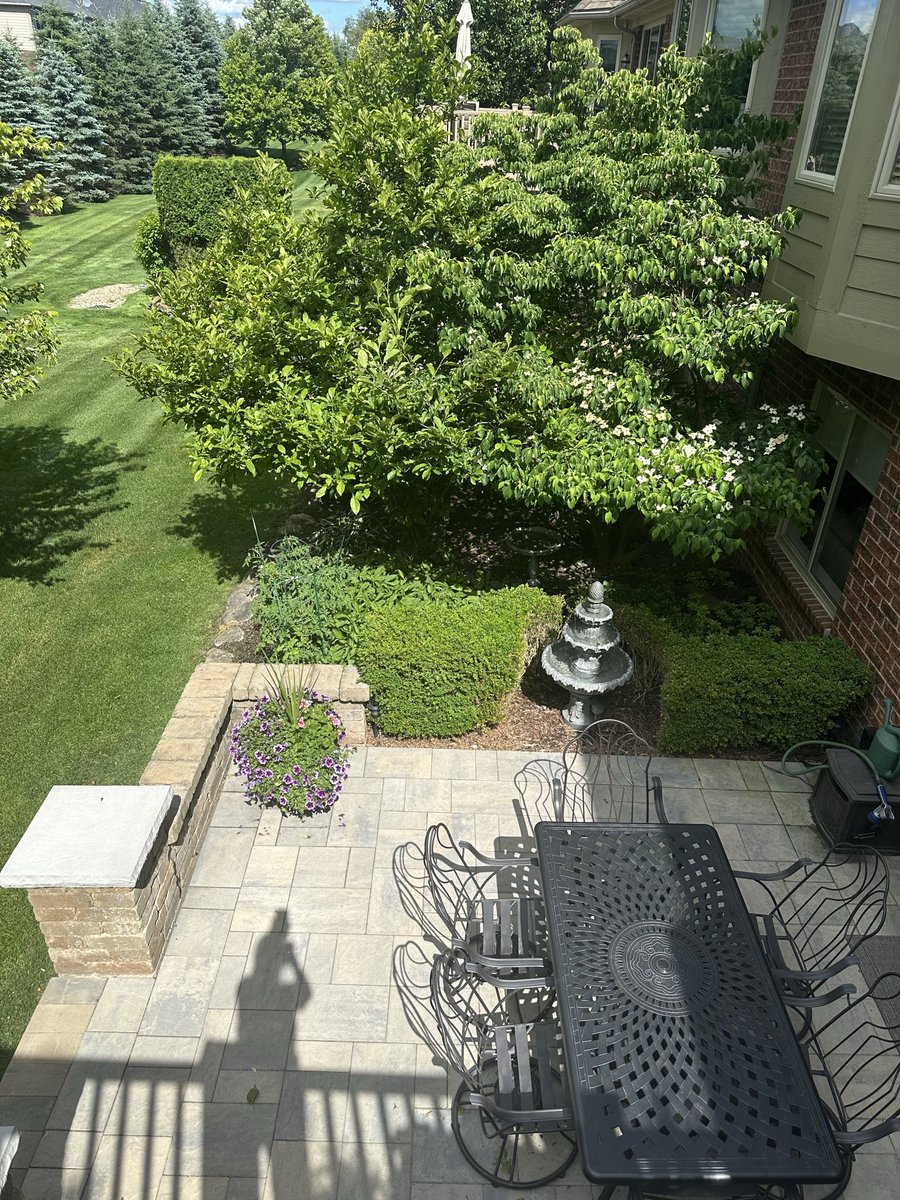 MaryPamla's tweet photo. @HarmeetKDhillon My little garden. We need to protect our bees!❤️🐝 https://t.co/dKoluUMIjJ