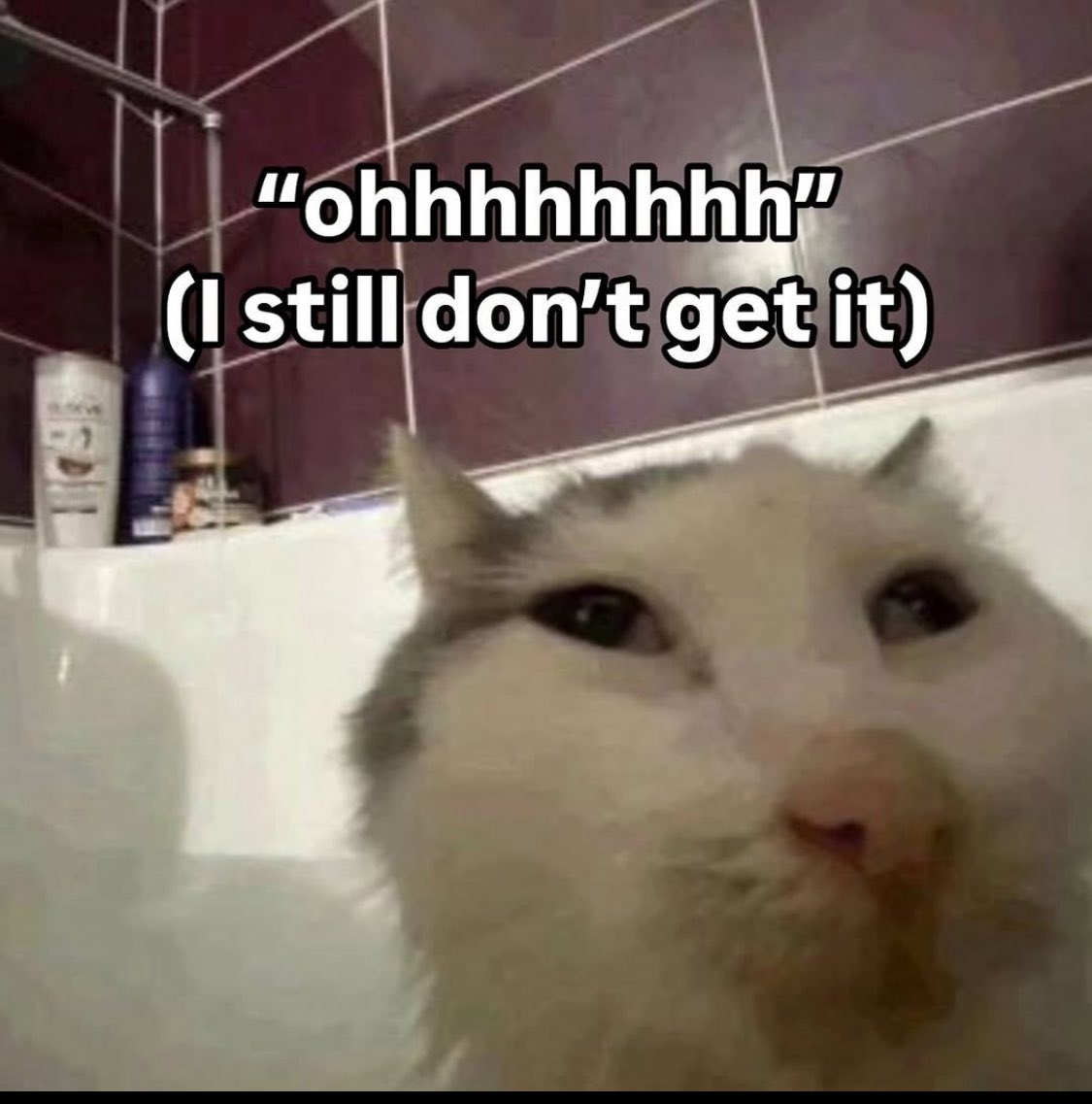 NOTRegisLeBris's tweet photo. @ShitpostRock https://t.co/88OsnyGfwm