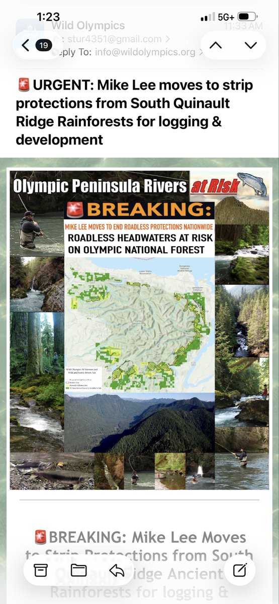 Sturzabomb's tweet photo. @BasedMikeLee @SenMikeLee is at it again with his selfish pursuit of selling public land! #teamfreshtracks #quinault #gohunt #rmef #bornandraisedoutdoors #publiclandpublichands #impeachmikelee #votemikeleeout https://t.co/nshecyYljb