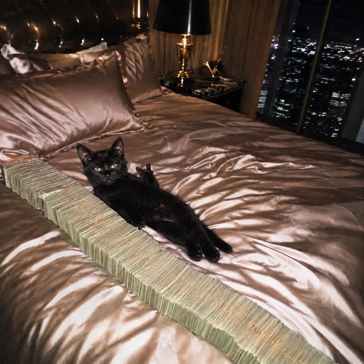busymfpurr tweet picture