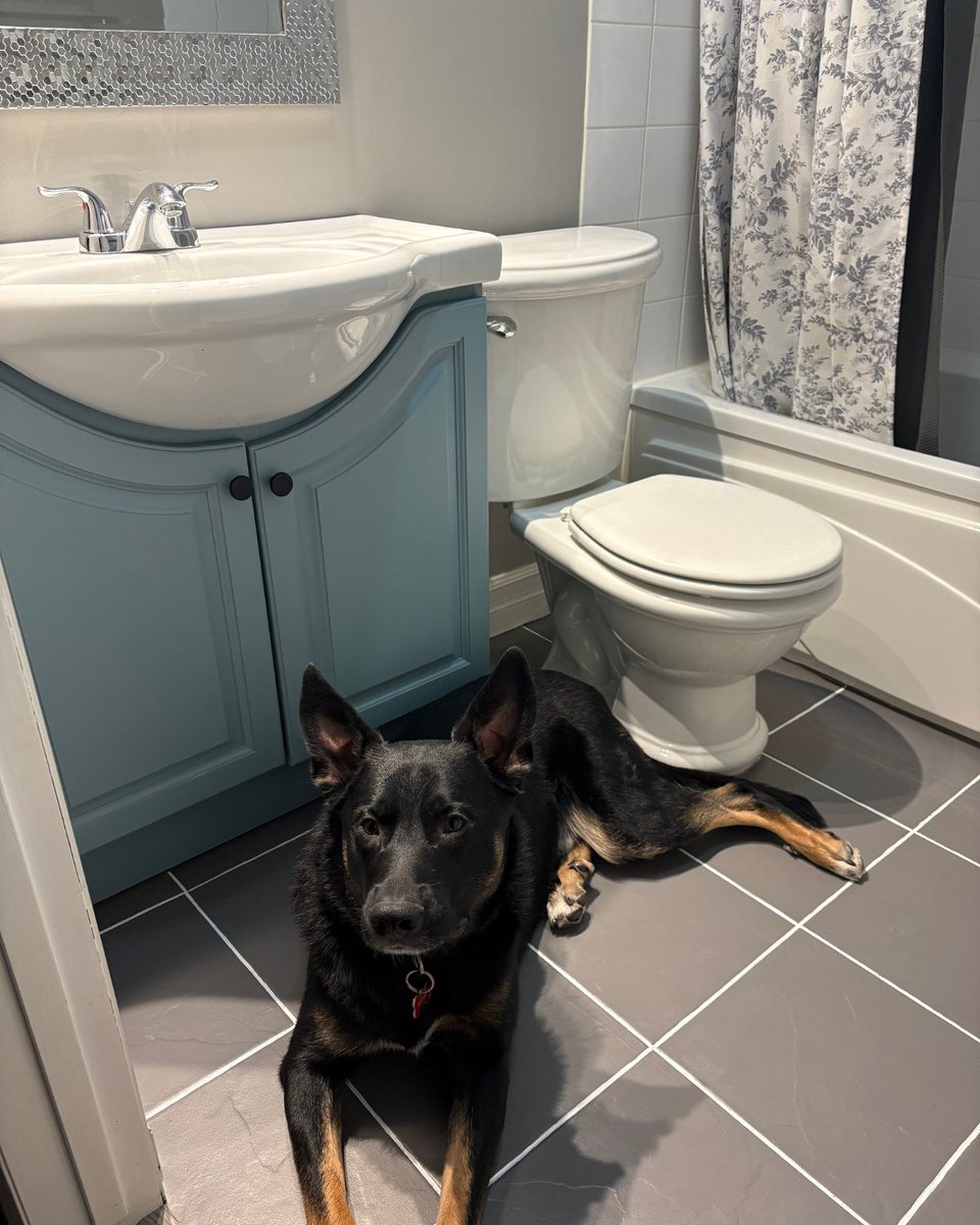 FreddiesPaint's tweet photo. We LOVE a good transformation, and the cutest painting partner. Transformations don't have to be huge. Taking it one room at a time makes a big impact, like this bathroom.

What's on your painting to-do list? https://t.co/Lp1kPSIeau
