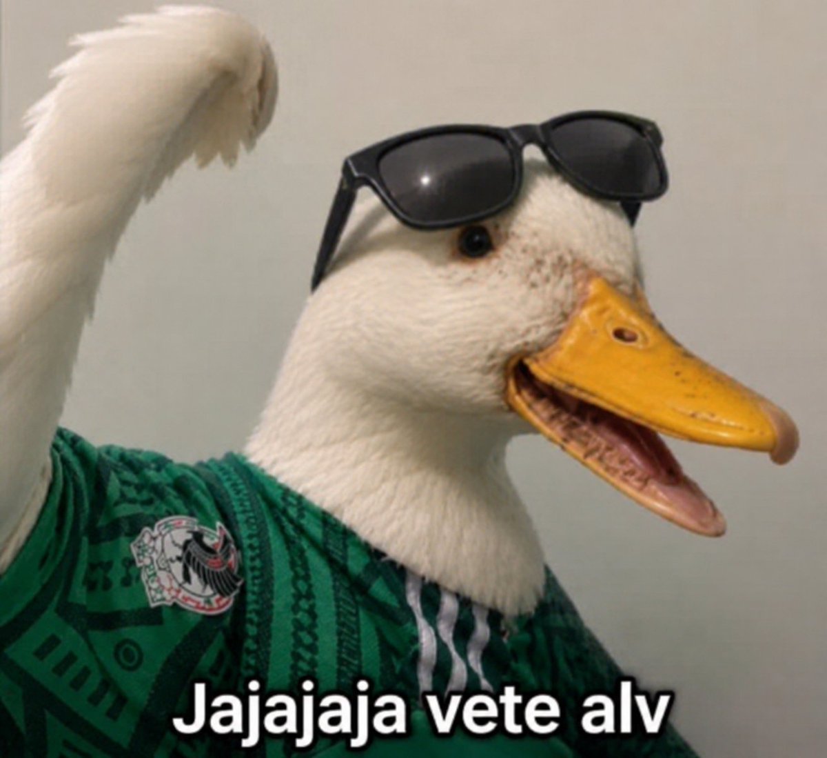 Djix3's tweet photo. @El_Universal_Mx Pinche lagartija espuria, chichis de limón podrido, tratando de colgarse de la fama y popularidad de Merlín, todo lo que a esa estúpida le falta 😒😒😒 https://t.co/eBJoY7yEqY