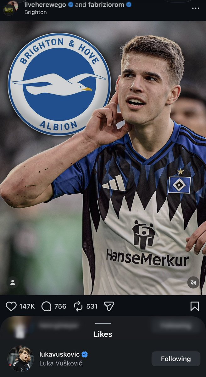 MikeKing14_'s tweet photo. 🚨 Luka Vuskovic has liked a post from @FabrizioRomano on Instagram about the latest #BHAFC bid 👀 https://t.co/OeUWmuQtKb