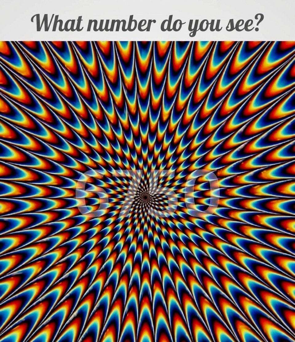 zahrafatma1278's tweet photo. What number do you see in this picture? https://t.co/QL9fb1Lz44