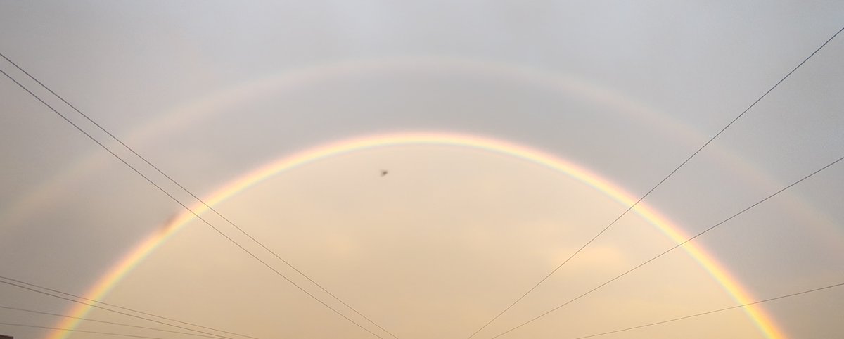 MarkMacleoid's tweet photo. The heavens sending me omens tonight. Scotland beat Morocco, Brazil draw later and we top the group. https://t.co/oF0o2Dni53