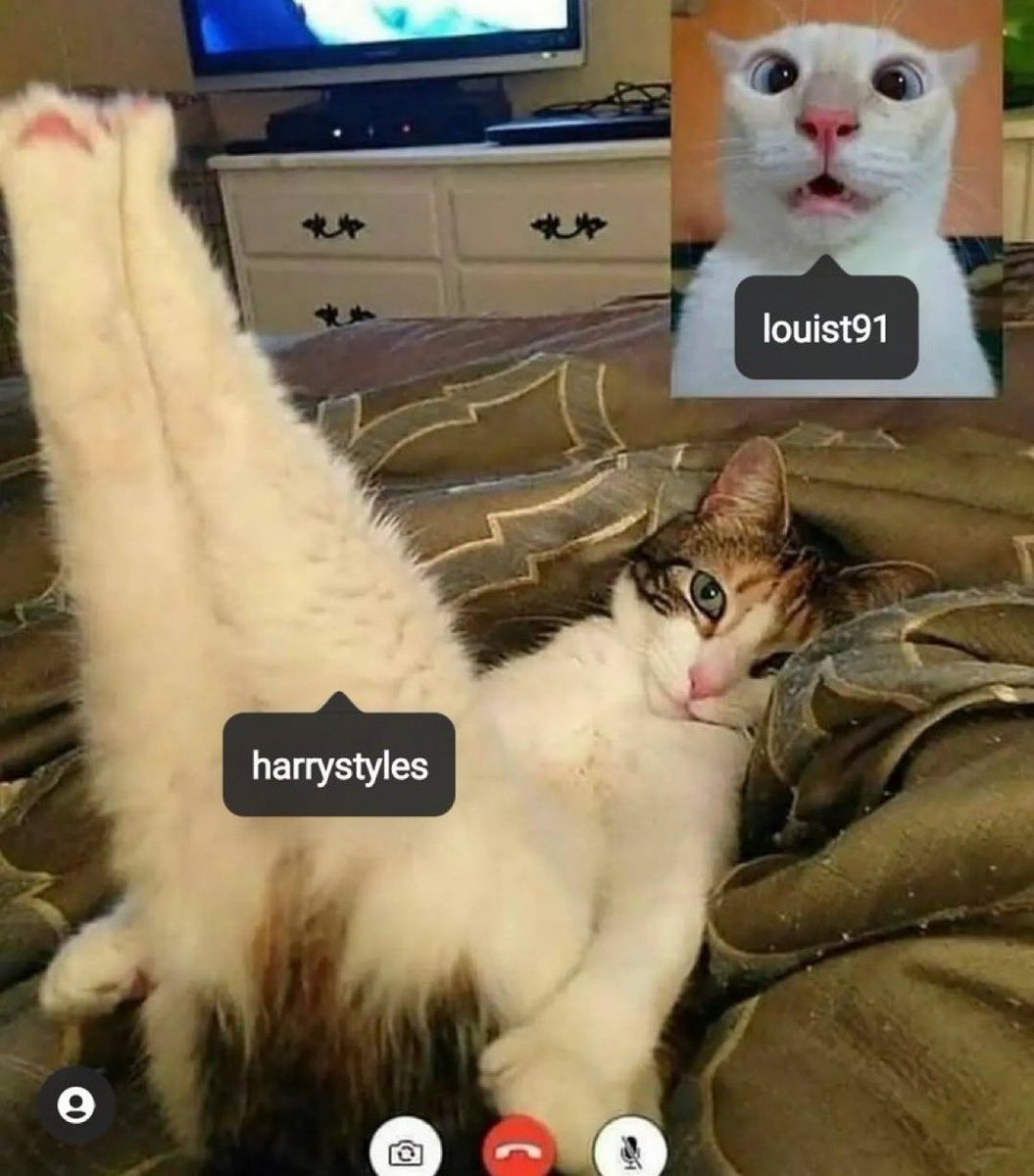 aleestyles91's tweet photo. them on facetime today meanwhile harry was showing his outfit for tonight https://t.co/Y7Z11RnkWK