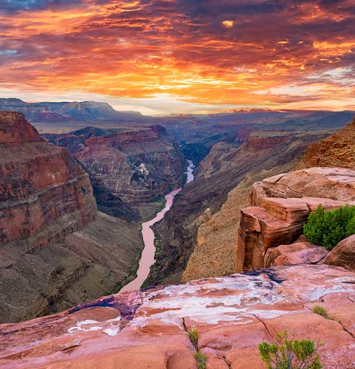 SikkSoToo's tweet photo. @tuuu28283 Take your pick (Arizona) https://t.co/zqAj3jRLY7