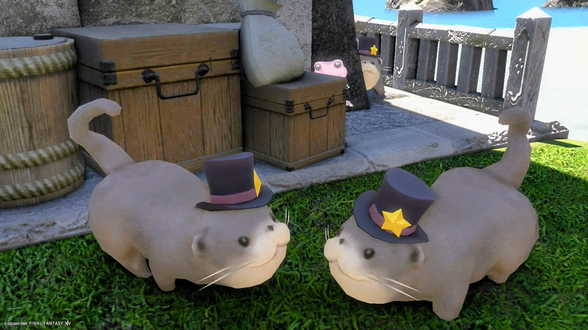 Noraemon_ff14's tweet photo. 2匹のうそうそﾁｬﾝ全ての居住区に居ますｹﾛ🐸

向かい合わせ→ラベ、ミスト、シロガネ

並んで何かを見てる→ゴブ、エンピ

その2匹のうそうそを近くで監視？してるうそうそも居ます🐸っ🦦

#FF14  おはｹﾛだす🐸ฅ⁠ https://t.co/4yBkrno9qH