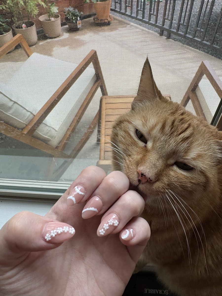 livhall2's tweet photo. nails for the eternal sunshine tour 🤍🤍 https://t.co/FbMZp6JpWu