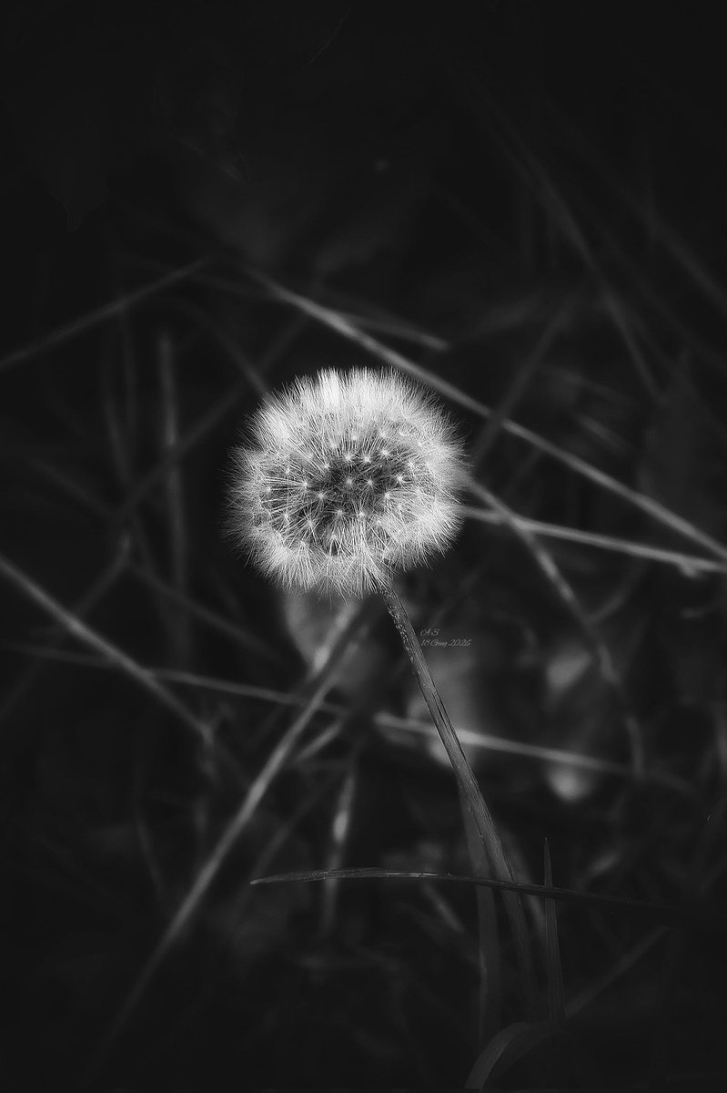 A_Sapphireh's tweet photo. Come un addio 
in bilico tra #luce e #tenebra,
e #ilvento 
che avvolge i contorni,
raccoglierà ciò che resta.
Arriverà in un soffio, 
e attenderò paziente
sapendo che il tempo 
mi ha sempre dato ragione

✒️📸Aura S. https://t.co/4ChtBRZcVf