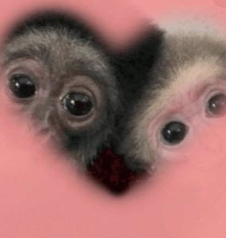 Contextmonkeyz's tweet photo. https://t.co/AWm3pJ3TLB
