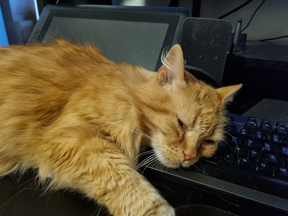 HellbirdVT's tweet photo. Cat senses stress and comes to cuddle.

I'm stressed because I need to hit an urgent deadline and I have no time for cuddles.

Rejected, he just lies on the keys until I'm done. He waits.

Good boy. https://t.co/3I2wOsPuEV