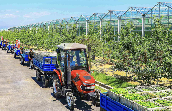 kimileyegenleri's tweet photo. KDHC'nin Sinuiju Sera Kompleksi'nde başlayan sebze hasadından görüntüler. 
Footage of the vegetable harvest getting underway at the Sinuiju Greenhouse Complex in the DPRK. https://t.co/i1GVYBlWr6