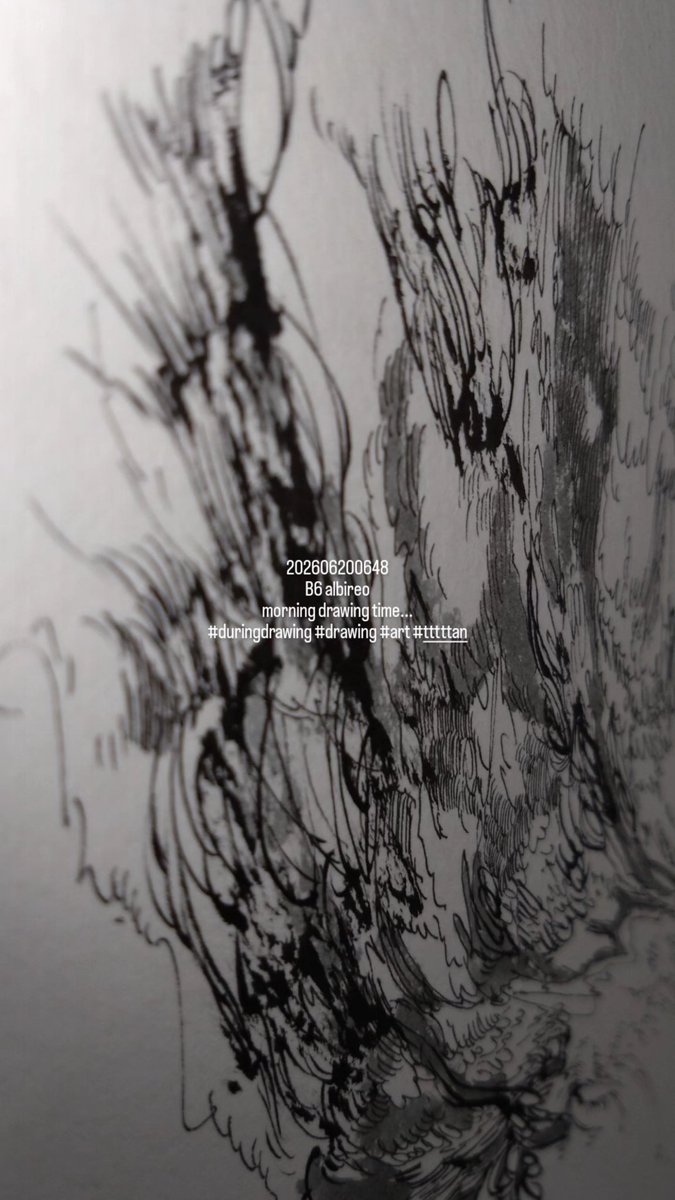 202606200648 B6 albireo morning drawing time #duringdrawing