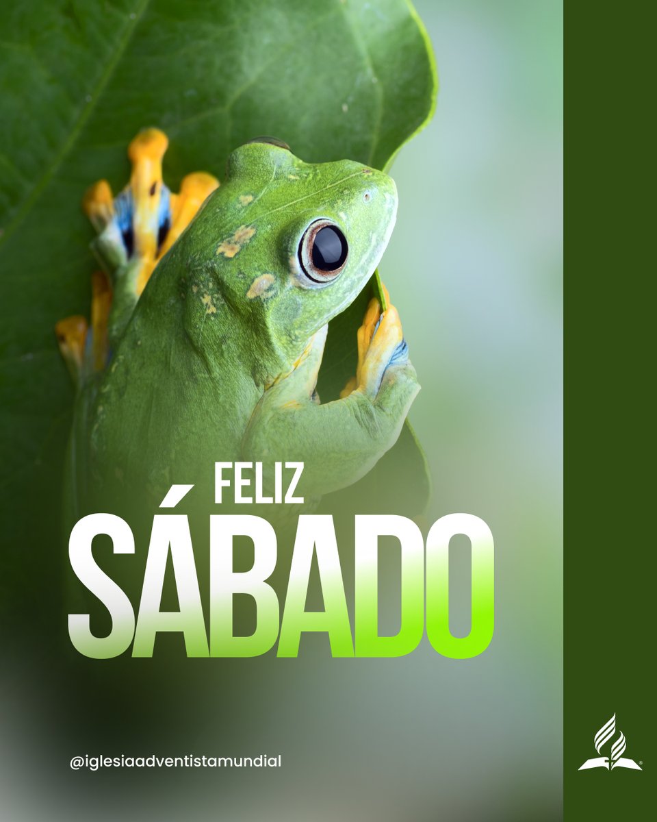 AdventistasEsp's tweet photo. Este sábado: que la presencia de Dios te abrace con amor, te regale descanso y renueve tu fe con ternura y esperanza. 🙏✨ https://t.co/jjevHwFVSo