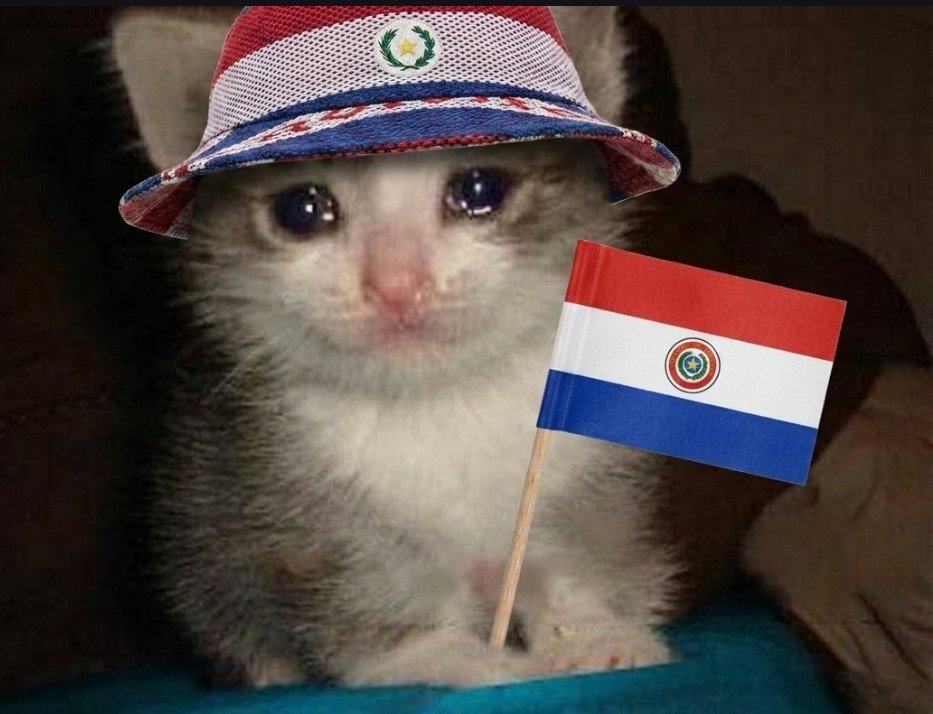 tatitorres23's tweet photo. Mi estado emocional depende de 11 hombres, no pierdan xfa o lloro 
#Paraguay #Albirroja https://t.co/JlcjWIWWiu