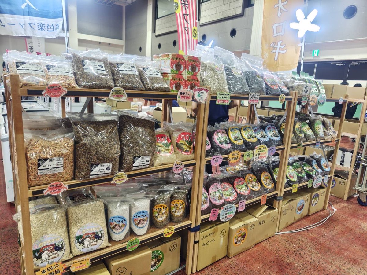 aurafarm1273's tweet photo. #仙台レプタイルズワールド 
開場🤩
レオパ、ニシアフ生体🦎
コオロギ他活餌、冷凍餌🐁

餌の種類もサイズも豊富に揃えてますので
選んで、悩んでイベント楽しんでくださいね☺️ https://t.co/4qjmP9nlS9